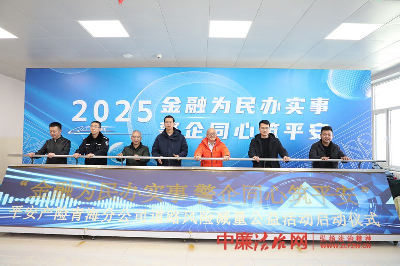 平安产险青海分公司“红绿灯”公益项目落地海东 政企携手筑牢乡村道路安全防线